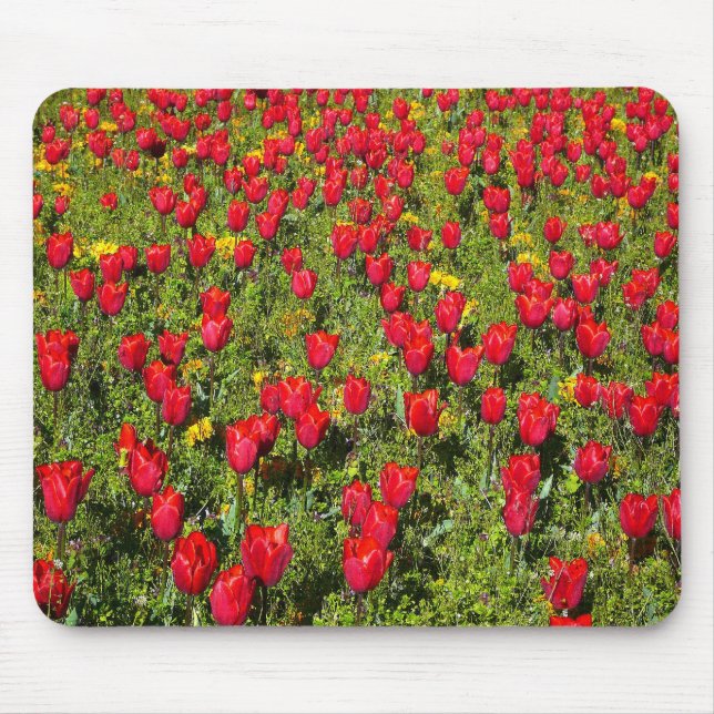 Bed of Tulips Mouse Pad (Front)