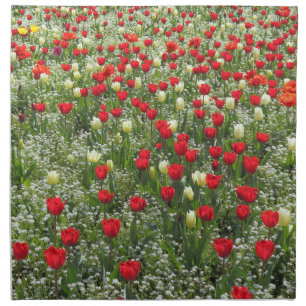 Bed of Tulips Napkin