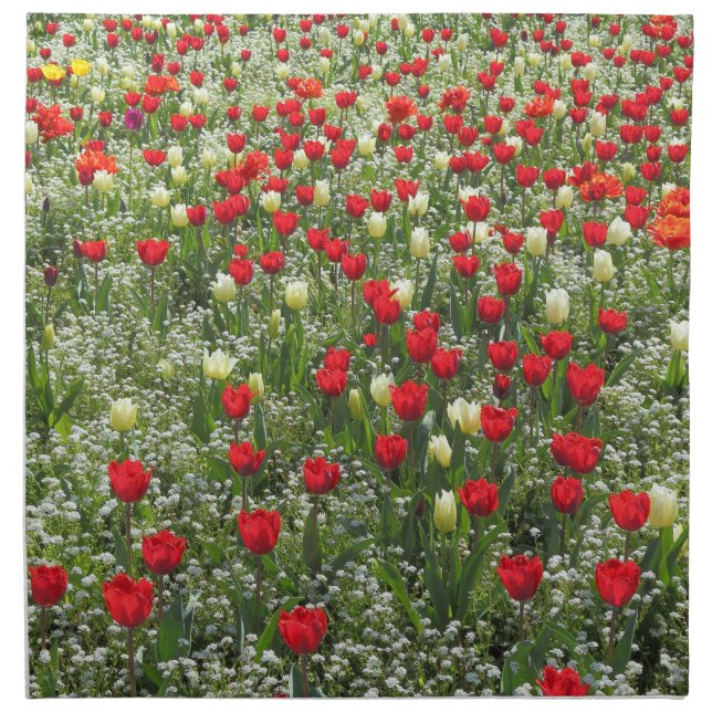 Bed of Tulips Napkin (Front)