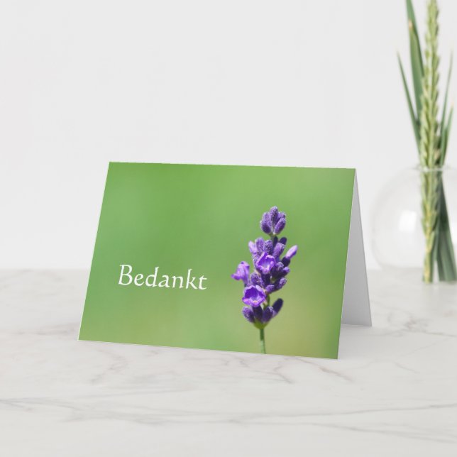Bedankt - Thank you in Dutch with lavender flower Card (Front)