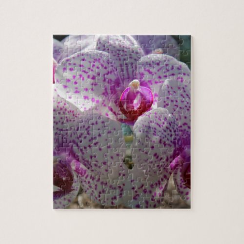 Bedazzled Jigsaw Puzzle