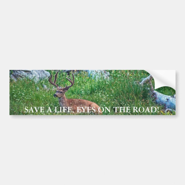 Bedded Buck Bumper Sticker (Front)