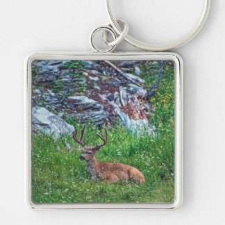 Bedded Buck Keychain