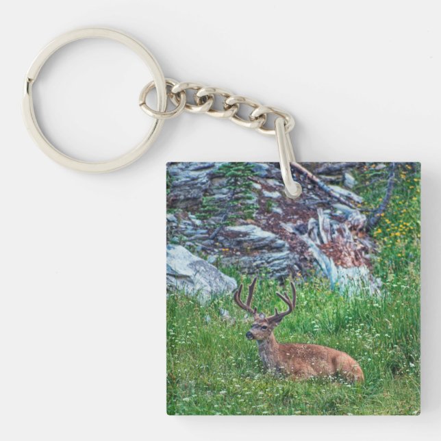 Bedded Buck Keychain (Front)