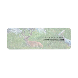 Bedded Buck Label