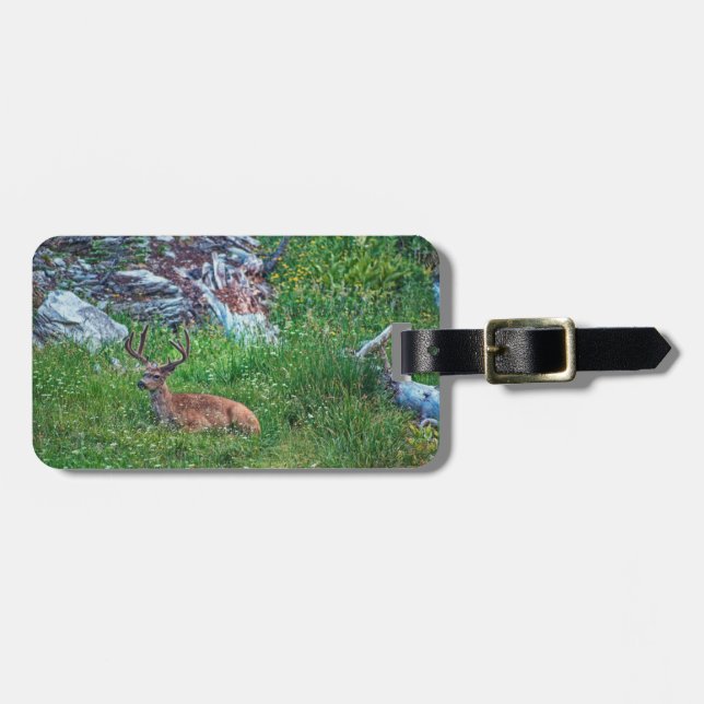 Bedded Buck Luggage Tag (Front Horizontal)