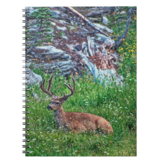 Bedded Buck Notebook