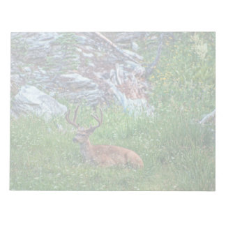 Bedded Buck Notepad