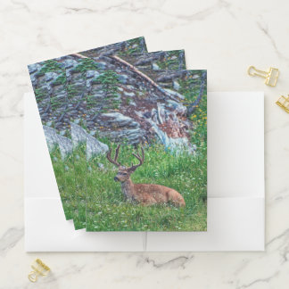 Bedded Buck Pocket Folder