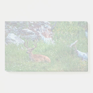 Bedded Buck Post-it Notes