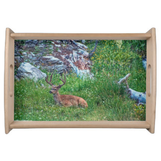 Bedded Buck Serving Tray