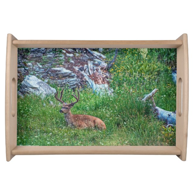 Bedded Buck Serving Tray (Front)