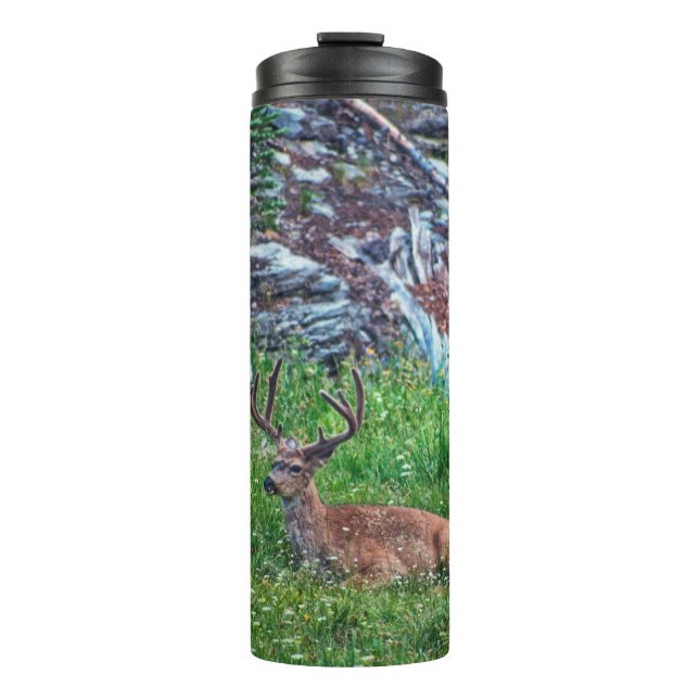 Bedded Buck Thermal Tumbler (Front)