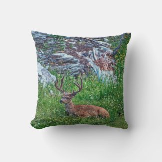 Bedded Buck