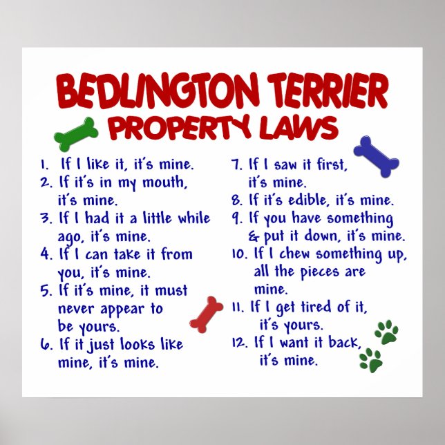 BEDDLINGTON TERRIER PL2 POSTER (Front)