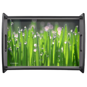 Bedewed Wheatgrass in the Morning Light Serving Tray