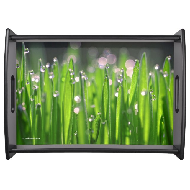 Bedewed Wheatgrass in the Morning Light Serving Tray (Front)
