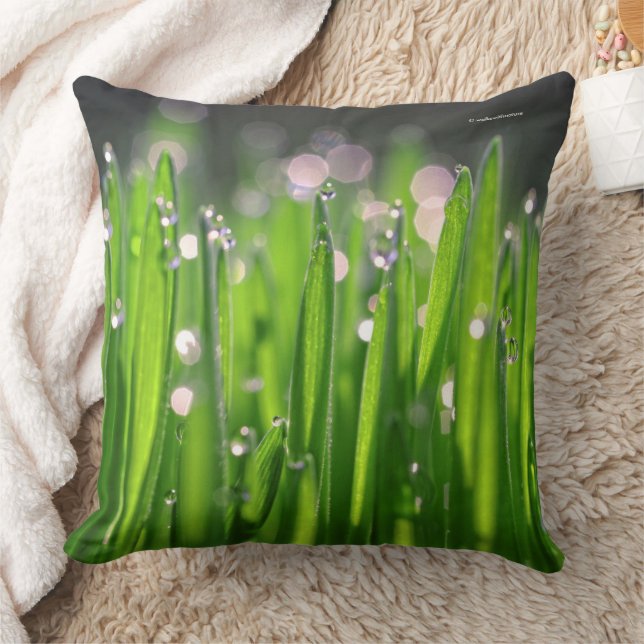 Bedewed Wheatgrass in the Morning Light Throw Pillow (Blanket)