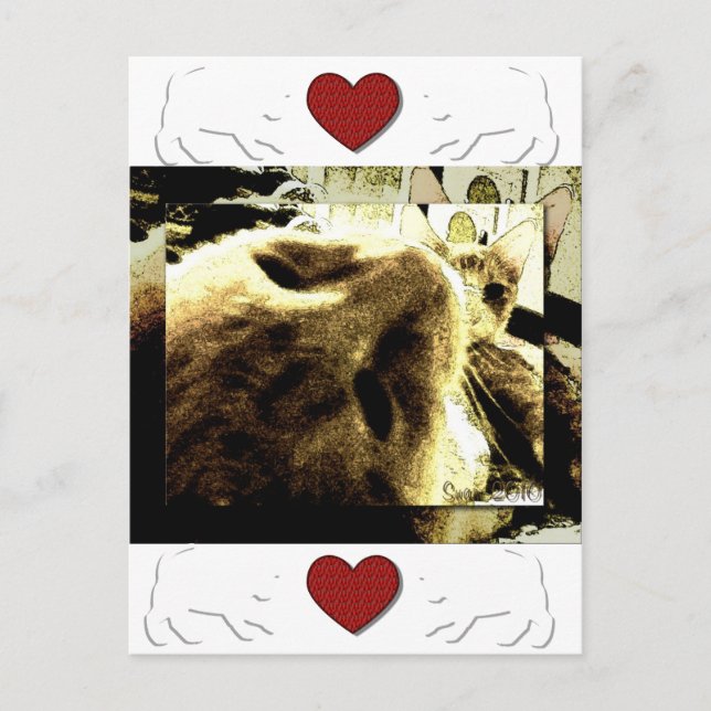 "Bedfellows" by Suan S'Katra Postcard (Front)