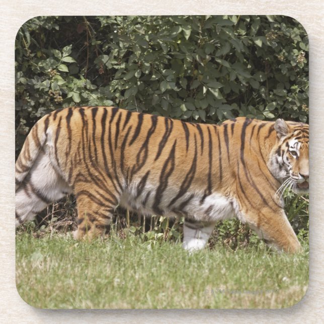 Bedfordshire, England 2 Beverage Coaster (Front)