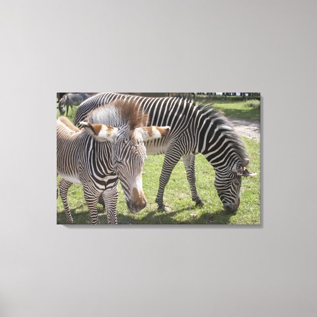 Bedfordshire, England 2 Canvas Print (Front)