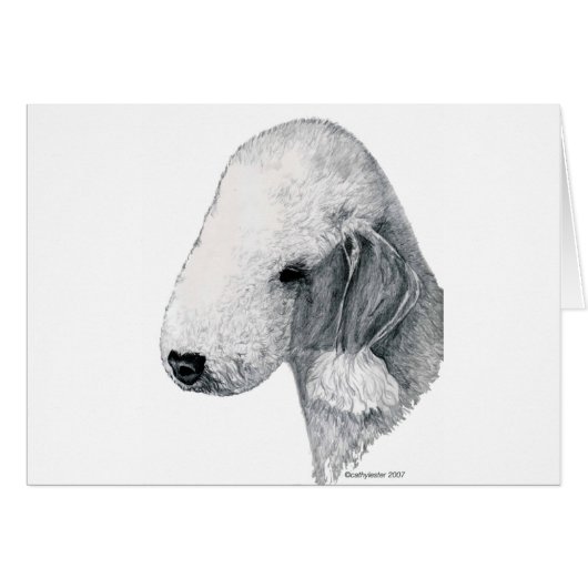 Bedlington Terrier (Front Horizontal)