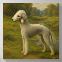 Bedlington Terrier
