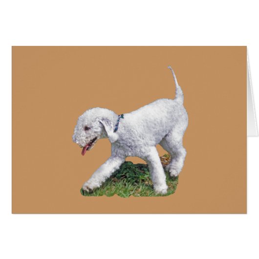 Bedlington Terrier Cards (Front Horizontal)