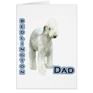 Bedlington Terrier Dad 4 Cards