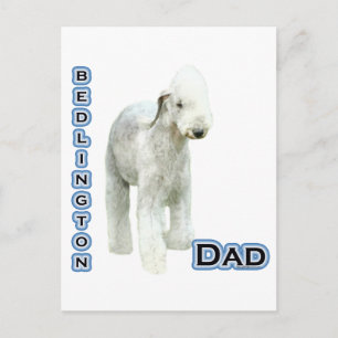 Bedlington Terrier Dad 4 Postcard