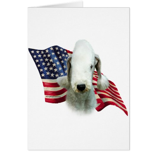 Bedlington Terrier Flag Cards (Front)