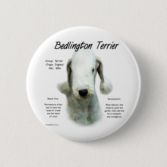 Bedlington Terrier History; All About Bedlingtons Pinback Button (Front)