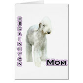 Bedlington Terrier Mom 4 (Front)