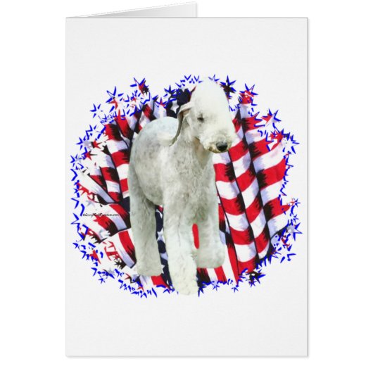Bedlington Terrier Patriot (Front)