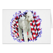 Bedlington Terrier Patriot (Front Horizontal)