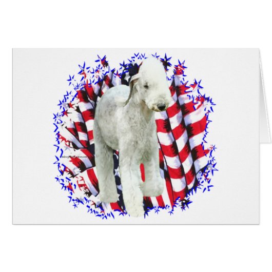 Bedlington Terrier Patriot (Front Horizontal)