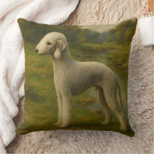 Bedlington Terrier