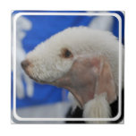 Bedlington Terrier Tile
