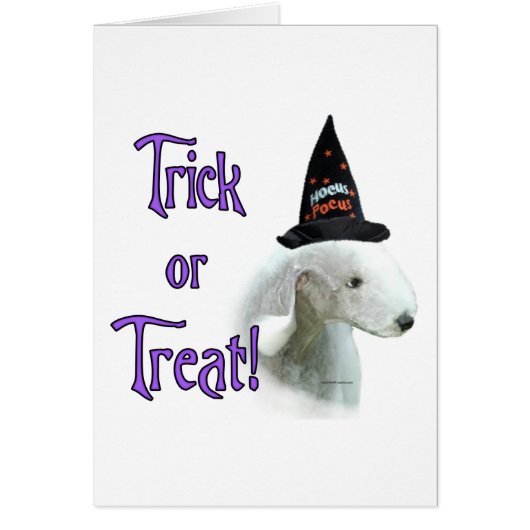 Bedlington Terrier Trick Cards (Front)