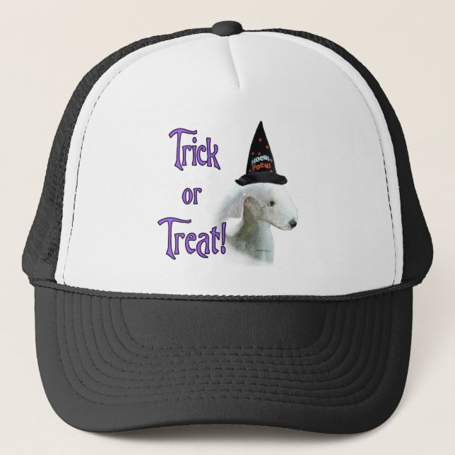 Bedlington Terrier Trick Trucker Hat (Front)