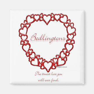 Bedlington Terrier True Love Magnet