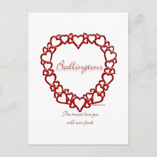 Bedlington Terrier True Love Postcard