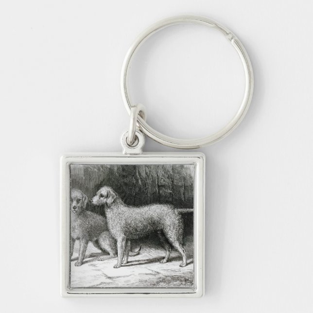 Bedlington Terriers- Mr. F. Armstrong's Keychain (Front)