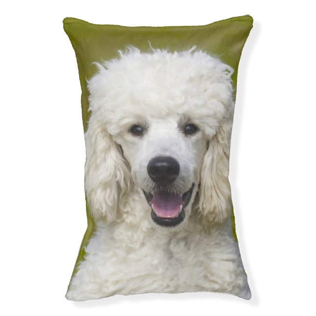 Beds for Poodles. (Front Vertical)