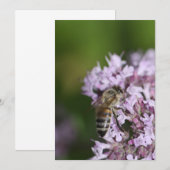 Bee (Front/Back)