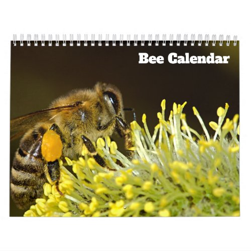 Bee 2024 calendar