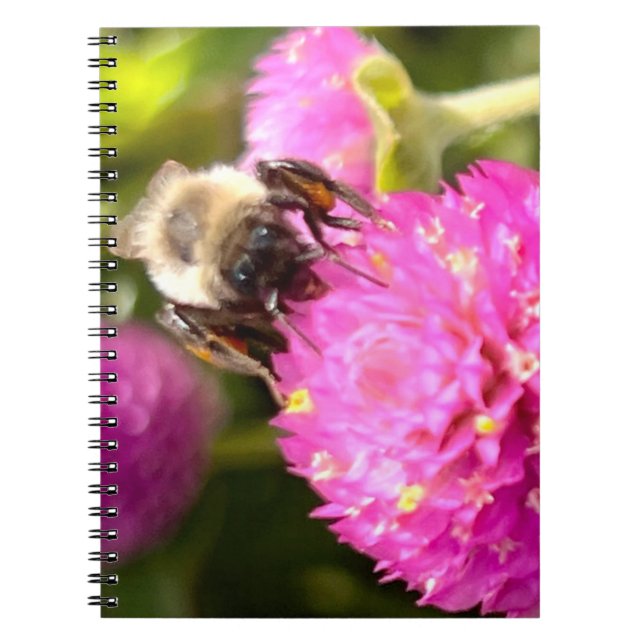 Bee and Blossom  Notebook (Front)