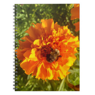 Bee and Blossom  Notebook
