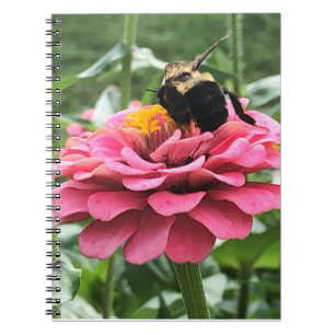 Bee and Blossom  Notebook