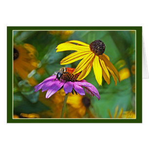 Bee and Blossoms Cards